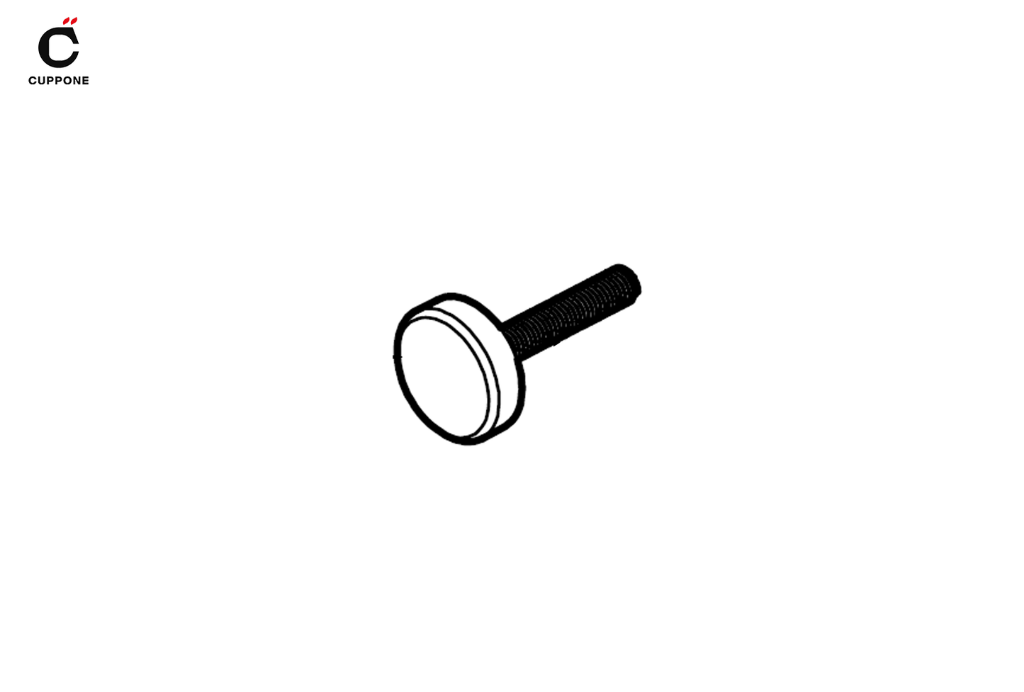 Glass Fixing Screw