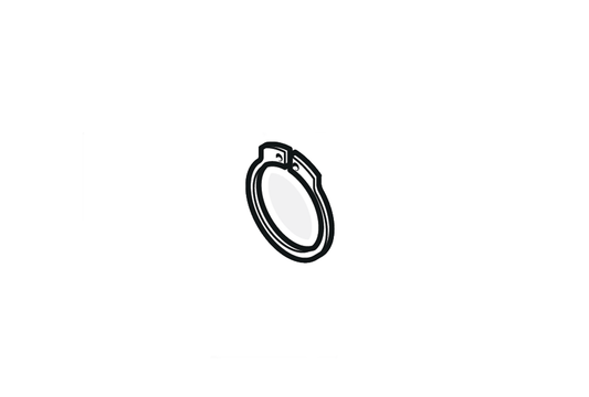 C01.2212 PZF Ring For Shaft 25