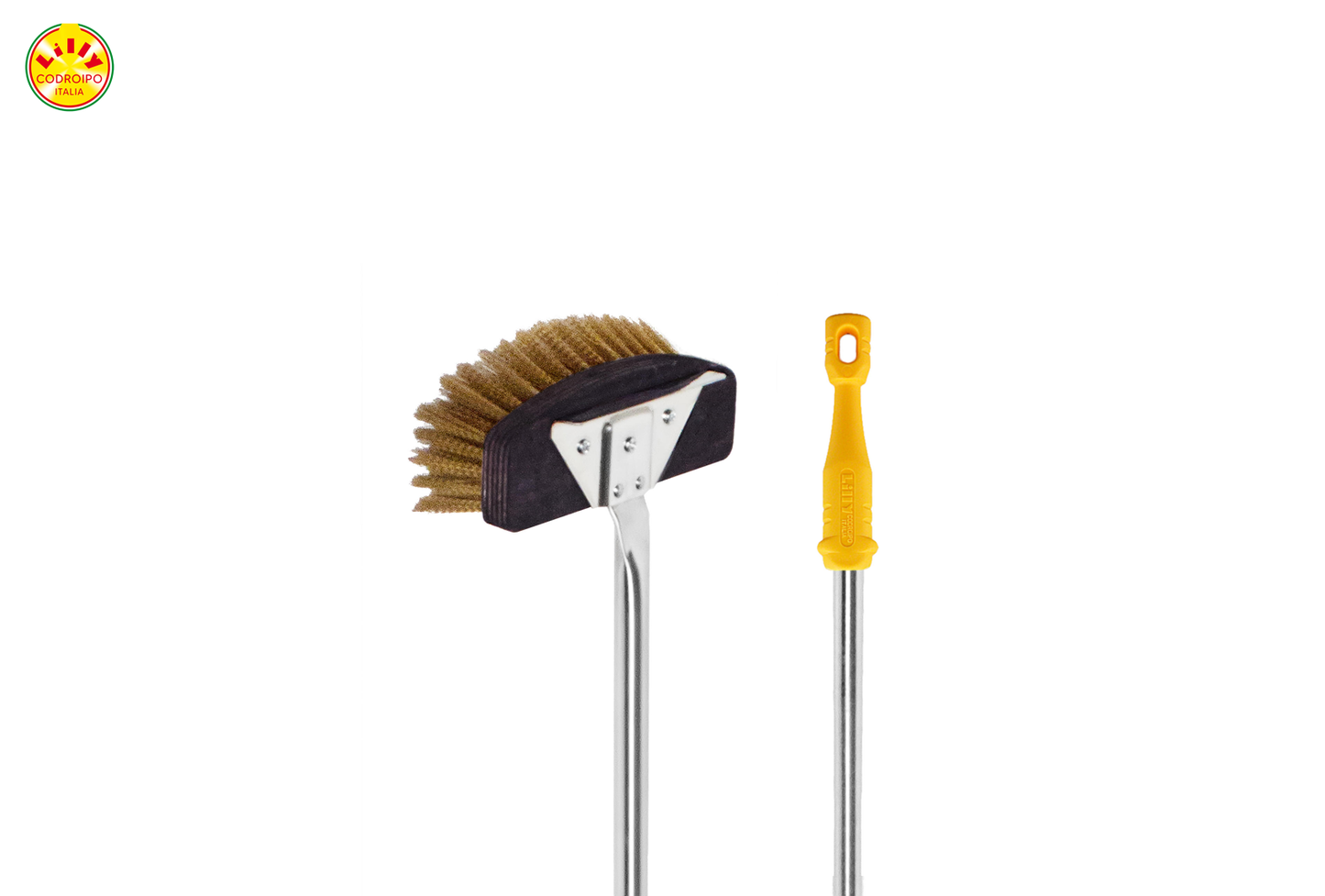Economy Essentials